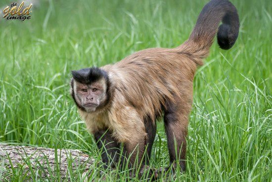 Nagyváradi Állatkert